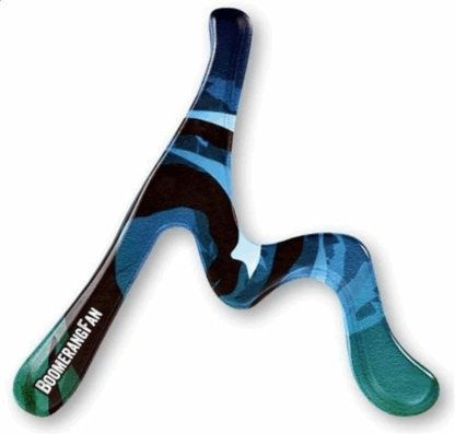 Boomerang Swell GAUCHER Boomerangfan