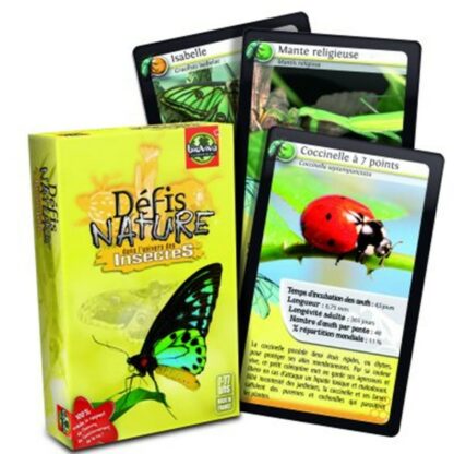 Défis nature Insectes