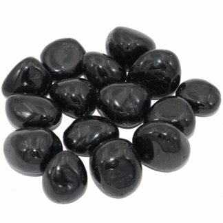 Boîte de 12 Gemmes Noires