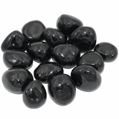 Boîte de 12 Gemmes Noires