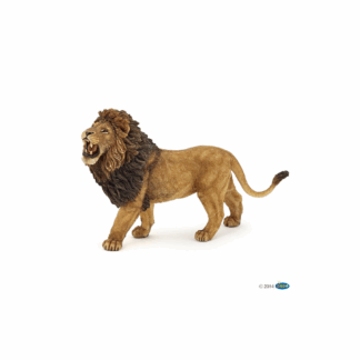 Lion rugissant