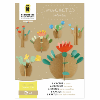 Kit créatif - mes cactus
